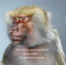 Тімур Сокунов фотография #25 (источник - https://vk.com/id45307241)