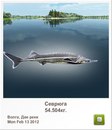 Людмила Бабікова фотография #44 (источник - https://vk.com/id155289329)