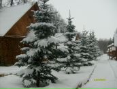 Фотография Виты Светланы