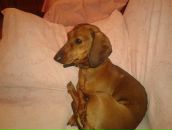 Фотография Нефедова Никиты