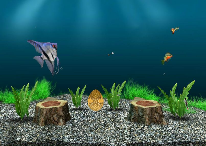 Павел Бугаев фотография #44