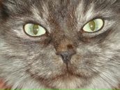 Фотография Кузнецовой Анны