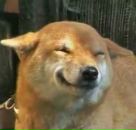 Фотография Урянского Александра