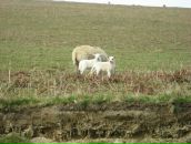 Оксана Парасіч фотография #47 (источник - https://vk.com/id262417508)