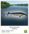 Андрій Колеснік фотография #49 (источник - https://vk.com/id69771073)