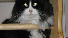 Фотография Морозовой Елизаветы