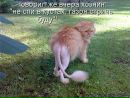 Світлана Блашко фотография #31 (источник - https://vk.com/id50099462)