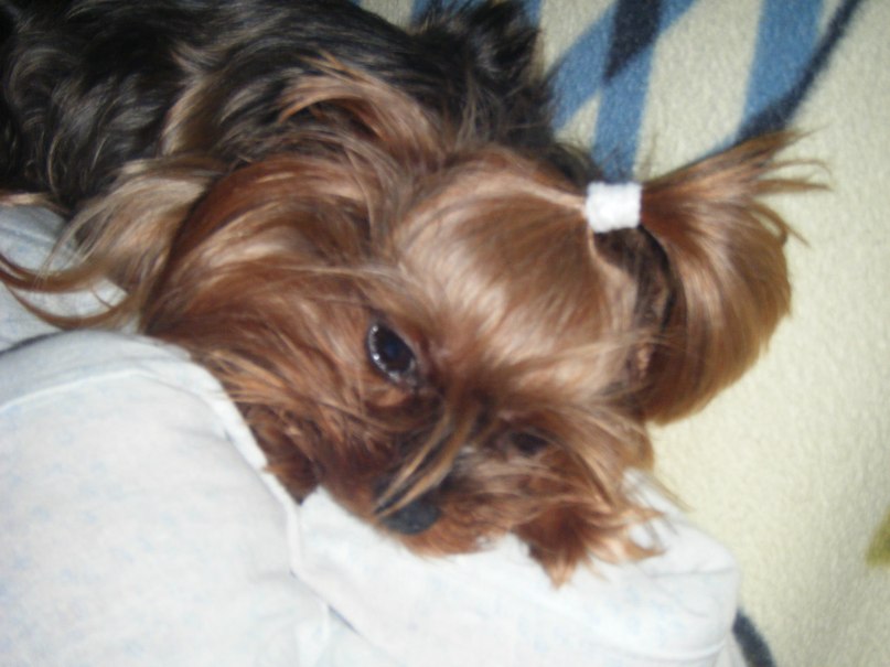 Елена Савельева фотография #7