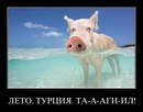 Фотография Антон Игоревич