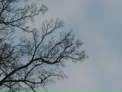 Фотография Самсонникк Екатерины