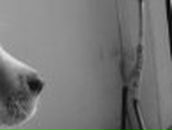 Іванна Майданська фотография #32 (источник - https://vk.com/id85635594)