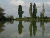 Фотография Луковец Людмилы