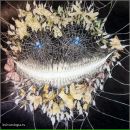 Фотография Кохана Владислава