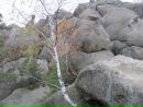 Надія Байовська фотография #28 (источник - https://vk.com/id56217083)