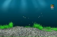 Андрій Мелен фотография #3 (источник - https://vk.com/id16763254)