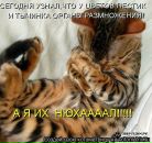 Фотография Руднянского Владимира