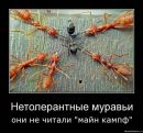 Фотография Полунина Павла