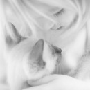 Тетяна Коробіцина фотография #1