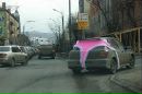 Вітя Терпак фотография #17 (источник - https://vk.com/id147352742)