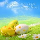 Фотография Баун (Мокрецова) Светланы