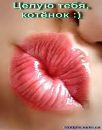 Пуфыфстая_ Киса фотография #31 (источник - https://vk.com/id144235558)