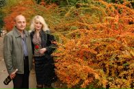 Світлана Кепеняк фотография #29 (источник - https://vk.com/id131805430)