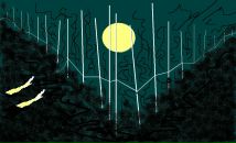 Фотография Эймы Глафиры