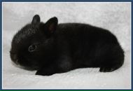 Фотография Kadagidze Alex