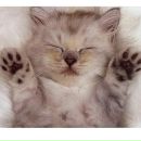 Алєг Сакідон фотография #38 (источник - https://vk.com/id154240612)