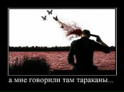 Alex Efremov фотография #22 (источник - https://vk.com/id1080896)