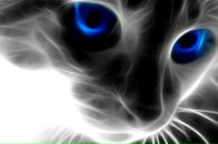 Anna Gen фотография #19 (источник - https://vk.com/id1112283)