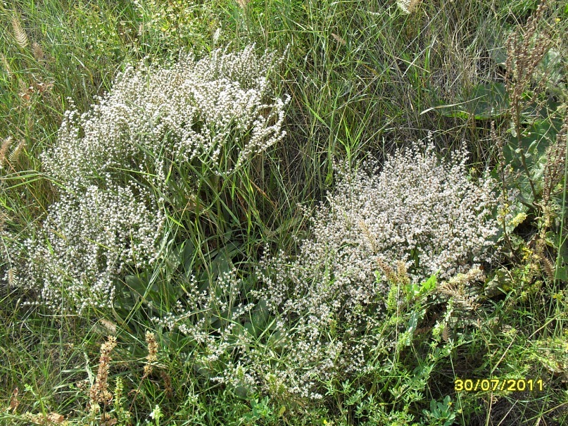 Андрей Поляков фотография #29