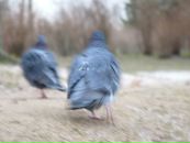 Фотография Юллинен Натальи