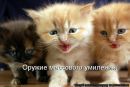 Діма Недільський фотография #38 (источник - https://vk.com/id82636275)