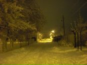 Фотография Егоровой Алины