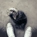  фотография #50