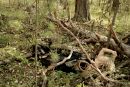 Фотография Тарасовой Надежды