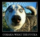 Фотография Громова Павлентия