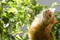 Фотография Кузнецовой Анечки