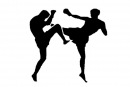 Kick Boxer фотография #1