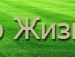Віталій Процак фотография #17 (источник - https://vk.com/id63779434)