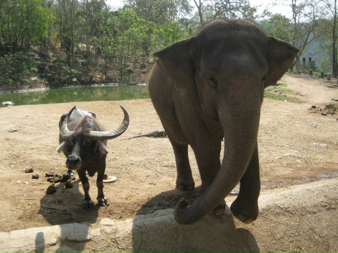 Илья Литаврин фотография #44