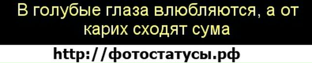 Вітуся Волошин фотография #27 (источник - https://vk.com/id90534397)