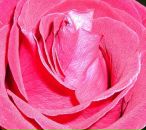 Фотография Тюриной Марии