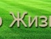 Міша Триндяк фотография #5 (источник - https://vk.com/id92660645)