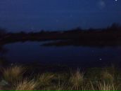 Світланка Маркович фотография #19 (источник - https://vk.com/id84053298)