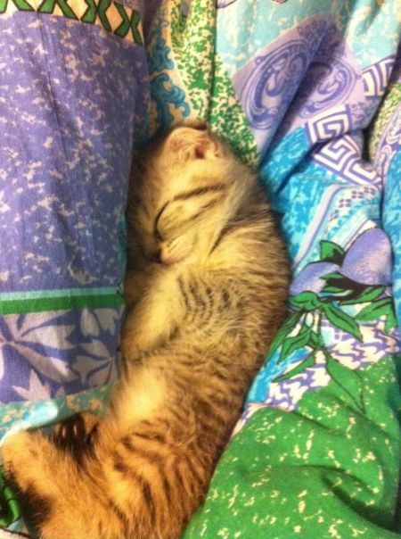 №20, Софья , 27.5 №20, Софья , 27.5