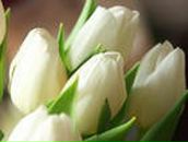 Фотография Губиной Марии