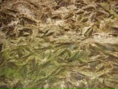 Анатолій Шаран фотография #39 (источник - https://vk.com/id17213210)