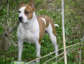 Фотография Ивановой Виктории